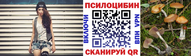 shop какой сайт  Власиха  Галлюциногенные грибы прущие грибы  мега ТОР 